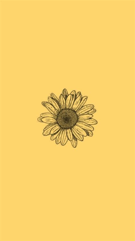 Share 70 Aesthetic Sunflower Wallpapers Incdgdbentre