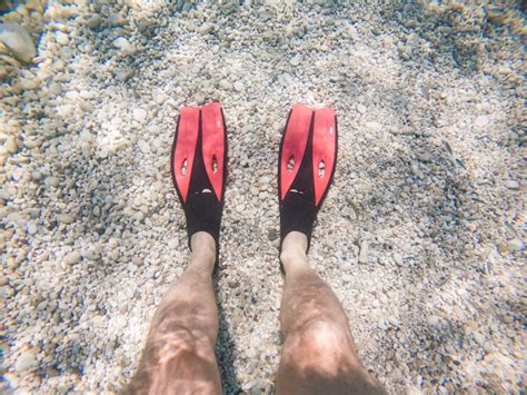 Premium Photo Man Legs In Flippers Underwater Copy Space Summer Vacation