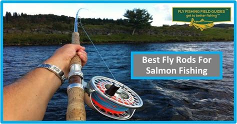 The Best Fly Rods For Salmon Fly Fishing Field Guides