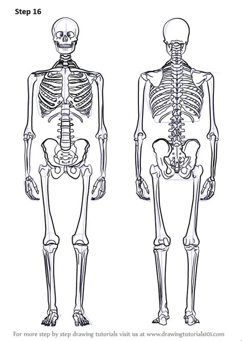 How To Draw A Skeleton Everyday Objects Step By Step