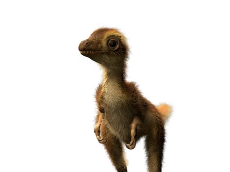 Fotogalería Así Era El T Rex Recién Nacido Aquí Su Evolución