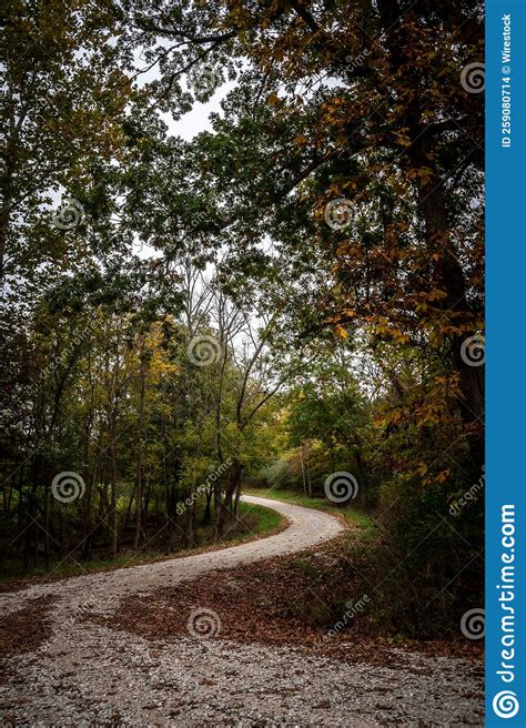Beautiful Pathway In The Autumn Forest Stock Photo Image Of Woods