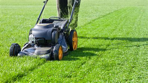 Lawn Mowing Tips Expert Advice For A Healthy Beautiful Lawn — Terra