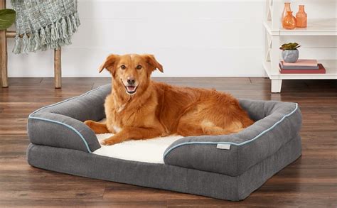 Best Bolster Dog Beds For Extra Comfort Great Pet Care