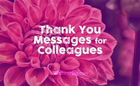 Thank You Messages For Colleagues And Appreciation Note Wishesmsg