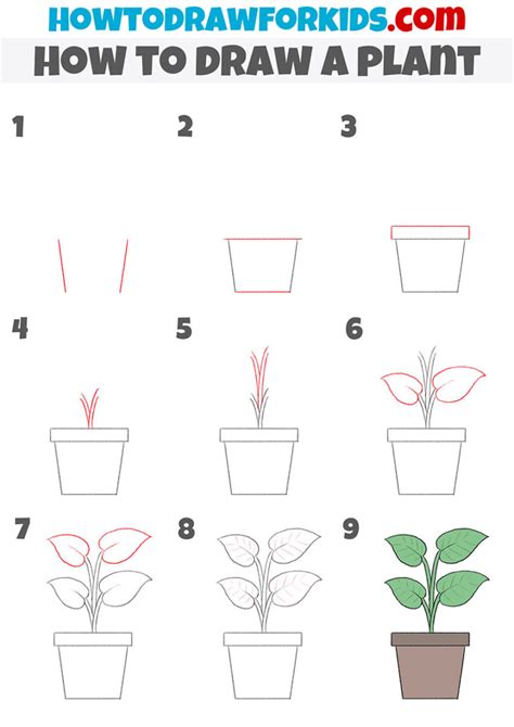 How To Draw A Plant Easy Drawing Tutorial For Kids