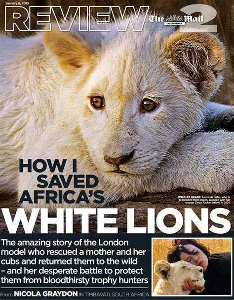 Global White Lion Protection Trust White Lion Lion Endangered Animals