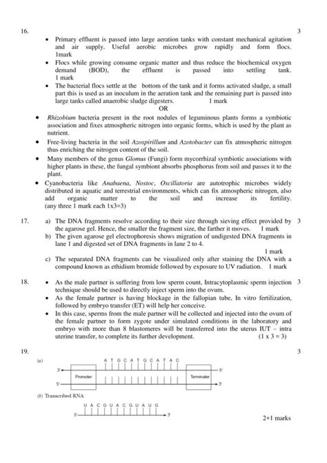 Biology Class 12 Cbse Solved Sample Papers