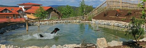 Urlaub Kinder Wellness und Familien Urlaub mit Hund Bayerischer Wald