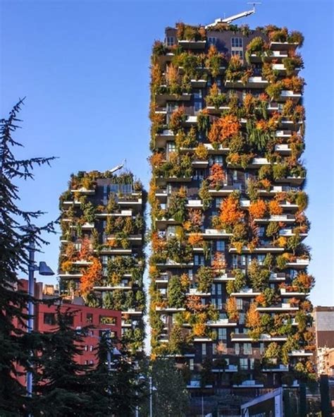 A Beautiful Vertical Forest In The Middle Of The Awesome City Milan An