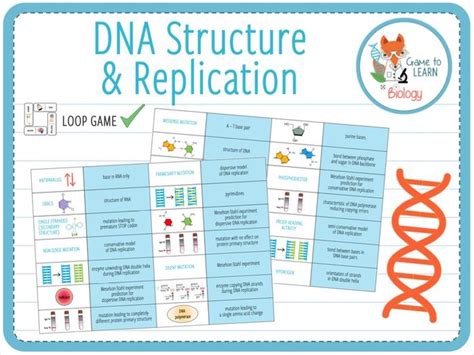 19 Engaging Dna Replication Activities Teaching Expertise