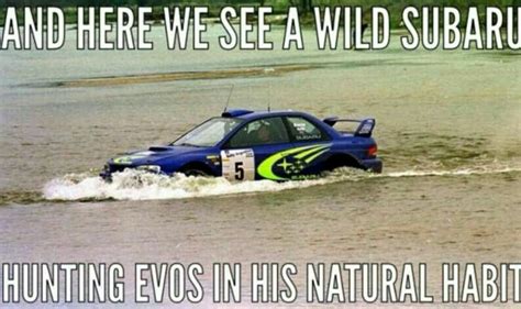 Pin By Anderson Sessler On Memes Subaru Funnies Car Humor Funny Car Quotes Funny Car Memes