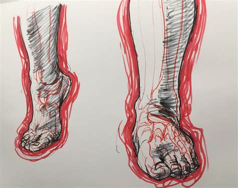 Student Work Eugene Clarks Drawing Class Bones Of The Hands And Feet