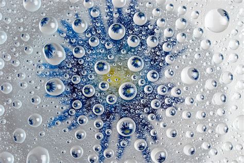 Free Images Water Drop Dew Flower Petal Blue Circle Close Up