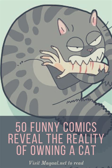 50 Funny Comics Reveal The Reality Of Owning A Cat Owning A Cat Cats