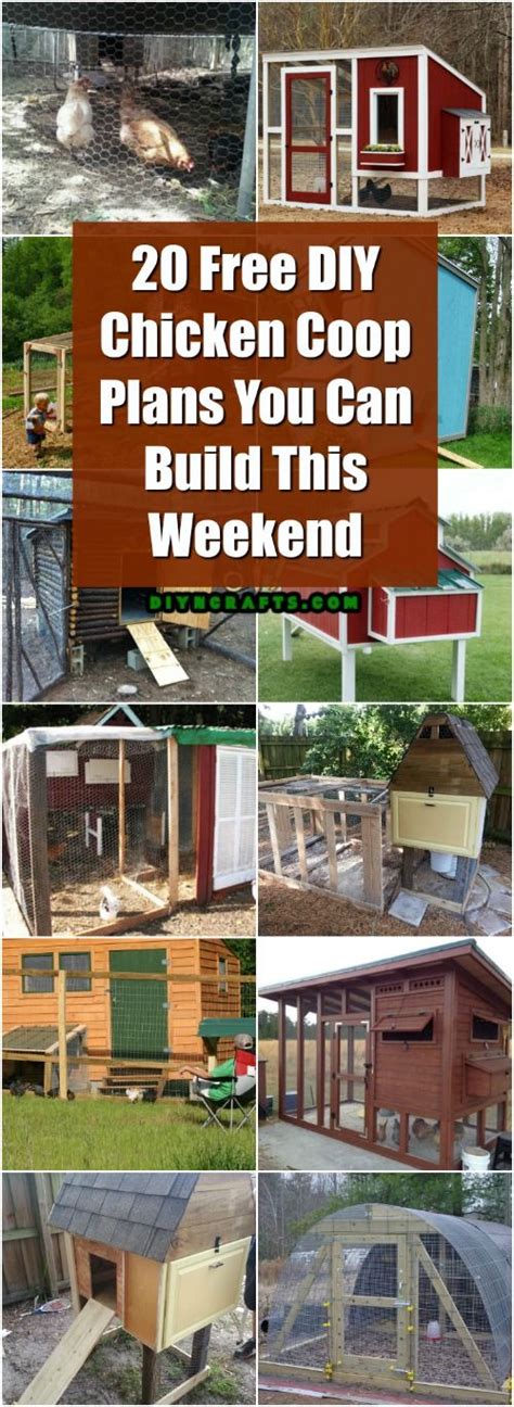20 Free Diy Chicken Coop Plans You Can Build This Weekend Diy Chicken