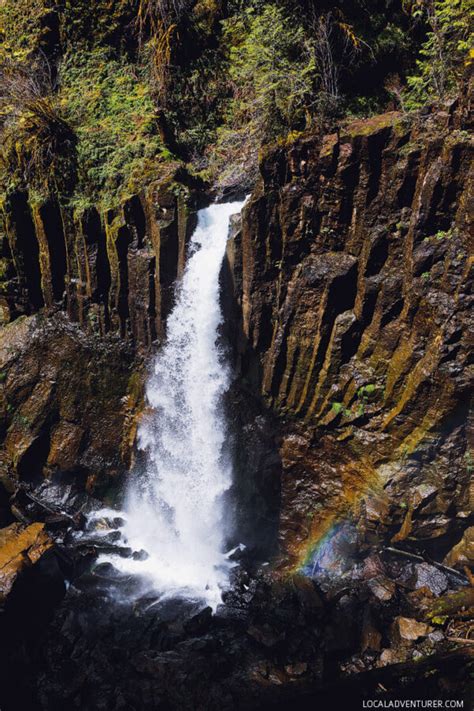 Drift Creek Falls Hike Lincoln City Oregon Coast Local Adventurer