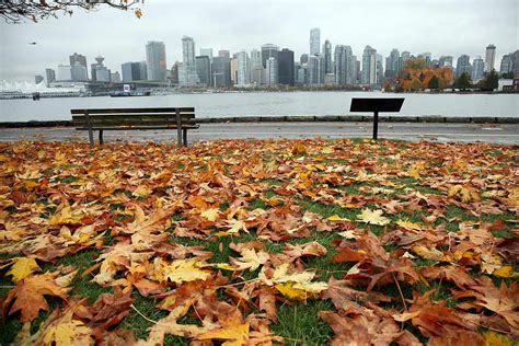 What To Do In Vancouver In The Fall