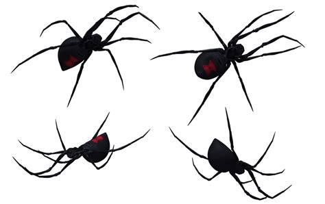 Free Black Widow Spider Art Download Free Black Widow Spider Art Png