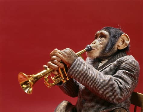 1960s Monkey Chimpanzee Wearing Suit And Tie Playing Trumpet Posters