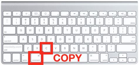 how to copy and paste on mac