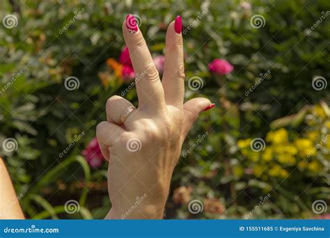 Gestos Com Mãos Fêmeas As Mãos Fêmeas Mostram O Símbolo Da Foda Número De Dedos Mãos Fêmeas Em