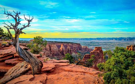 Colorado National Park Monument United States Mountains Rocks Trees