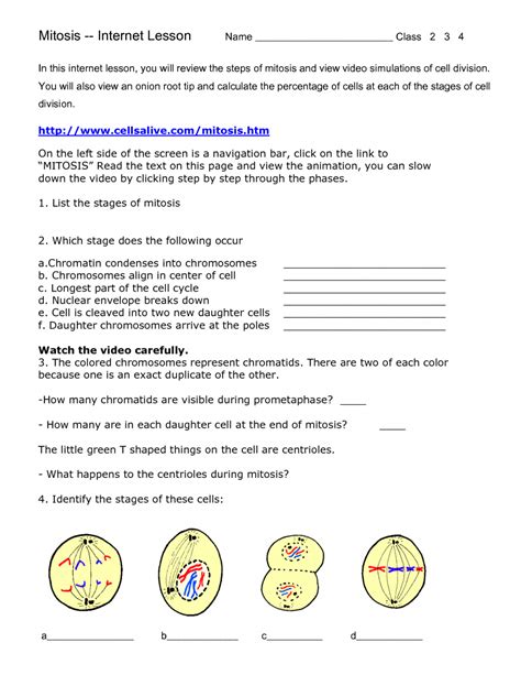 Cell growth and mitosis please go to the following webpage: 8 meiosis internet lesson : Biological Science Picture ...