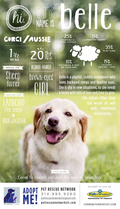 Wishlist, donating & fundraising pet tails rescue is fortunate to receive support from its volunteer… unfortunately at times we do not have the opportunity to respond to every application. Pet Adoption Poster Series on Behance