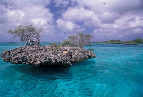 View The World Aldabra Seychelles
