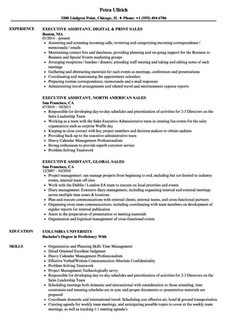 Another sales executive cv example. Sales Executive Assistant Resume Samples Velvet Jobs ...