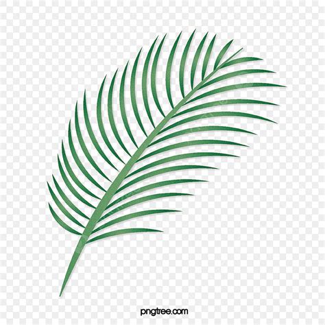 Tropical Palm Leaves Vector Art Png Cartoon Green Tropical Palm Leaves
