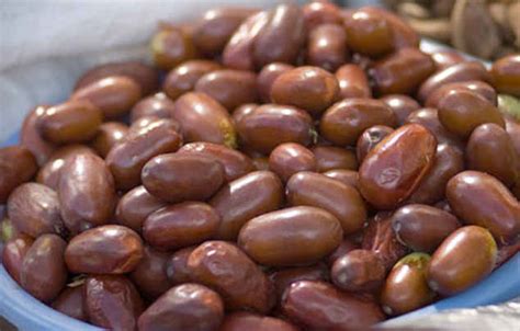 We did not find results for: Купить семена Финики Phoenix dactylifera (финик пальчатый ...