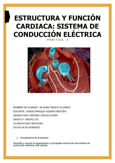 Practica 3 De Sistema Circulatorio Estructura Y FunciÓn Cardiaca