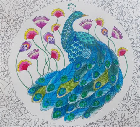 Download animal kingdom (With images) | Coloring books, Artist ...