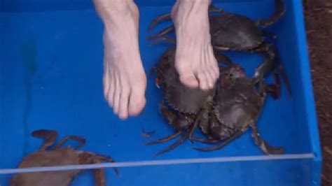 Was This Im A Celeb Trial Fixed Viewers Spot Crabs With Claws Taped