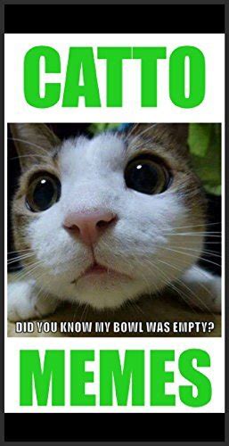 Catto Funny Memes Cats R Cute Kitteh Memes Jokes By Memes