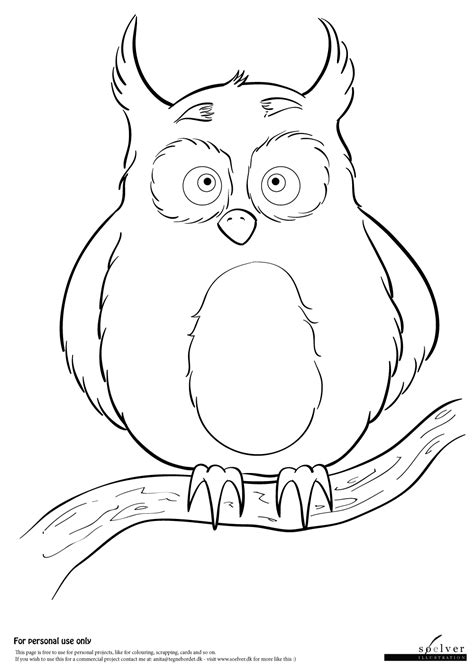 Owl On A Branch Coloring Page Soelverdk