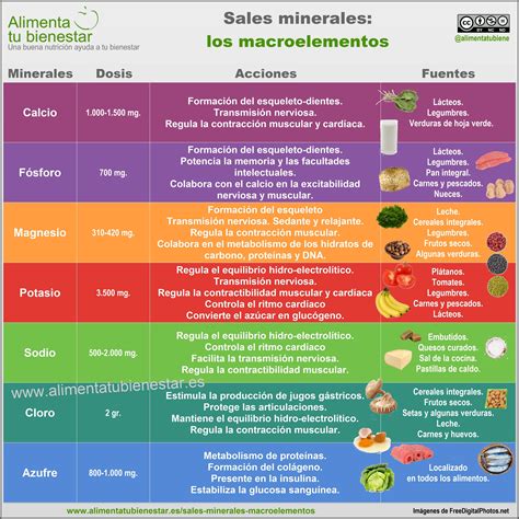 Sales Minerales Macroelementos Minerales Nutricion Tabla