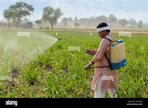 Farm India Pesticide Hi Res Stock Photography And Images Alamy