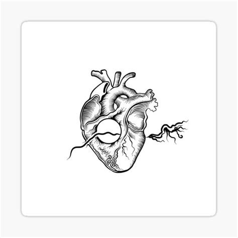 Heart Drawing Body Part Human Anatomy Anatomy Love Sticker For Sale