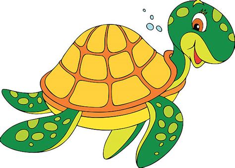 Snapping Turtle Illustrations Royalty Free Vector Graphics And Clip Art