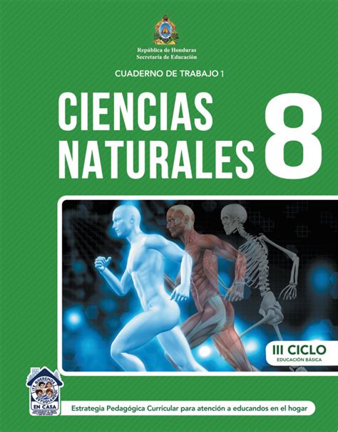 🥇 Cuaderno De Trabajo De Ciencias Naturales Octavo 8 Grado Honduras