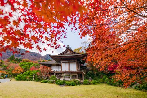 3 Day Kyoto Japan Fall Colors Itinerary Travel Caffeine