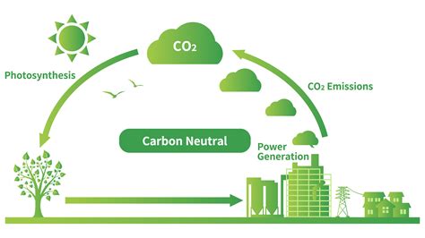 About Biomass Fuel Erex