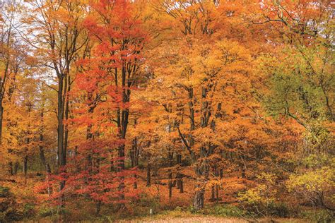 Our 7 Favorite Fall Foliage Hikes - VT SKI   RIDE