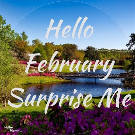 Hello February Neon Signs Hello Surprise Me