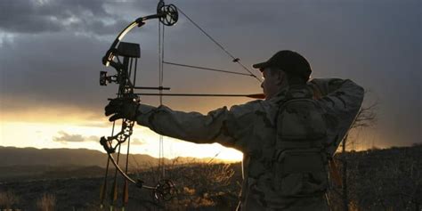 Which in our opinion, is not that much of a let down when taking into account the low vibration and quiet operation of our choice for best compound bow 2019. Ranking the 10 Best Compound Bows