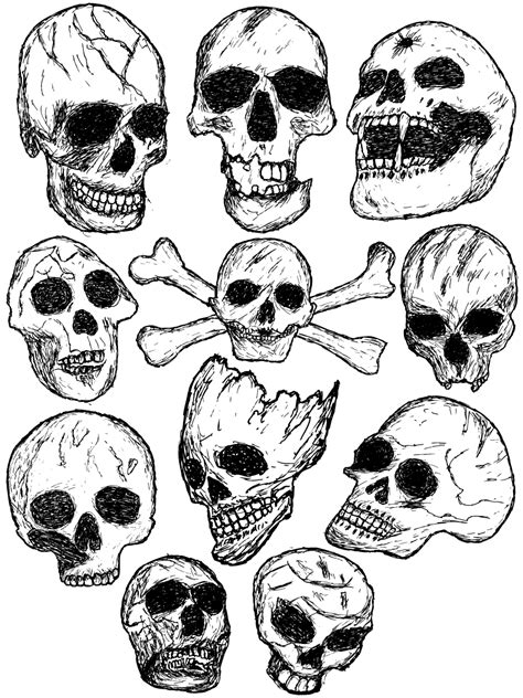 Hand Drawn Skull Vector and Photoshop Brush Pack-01