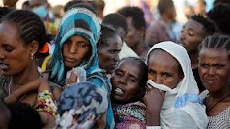 Petition · Assist Eritrean Refugees In Tigray Region Of Ethiopia